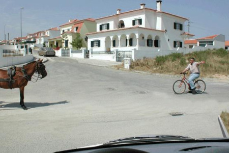 O condutor do velocípede deve: